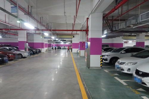 自駕車前往江門站 停車指引清晰設施完善